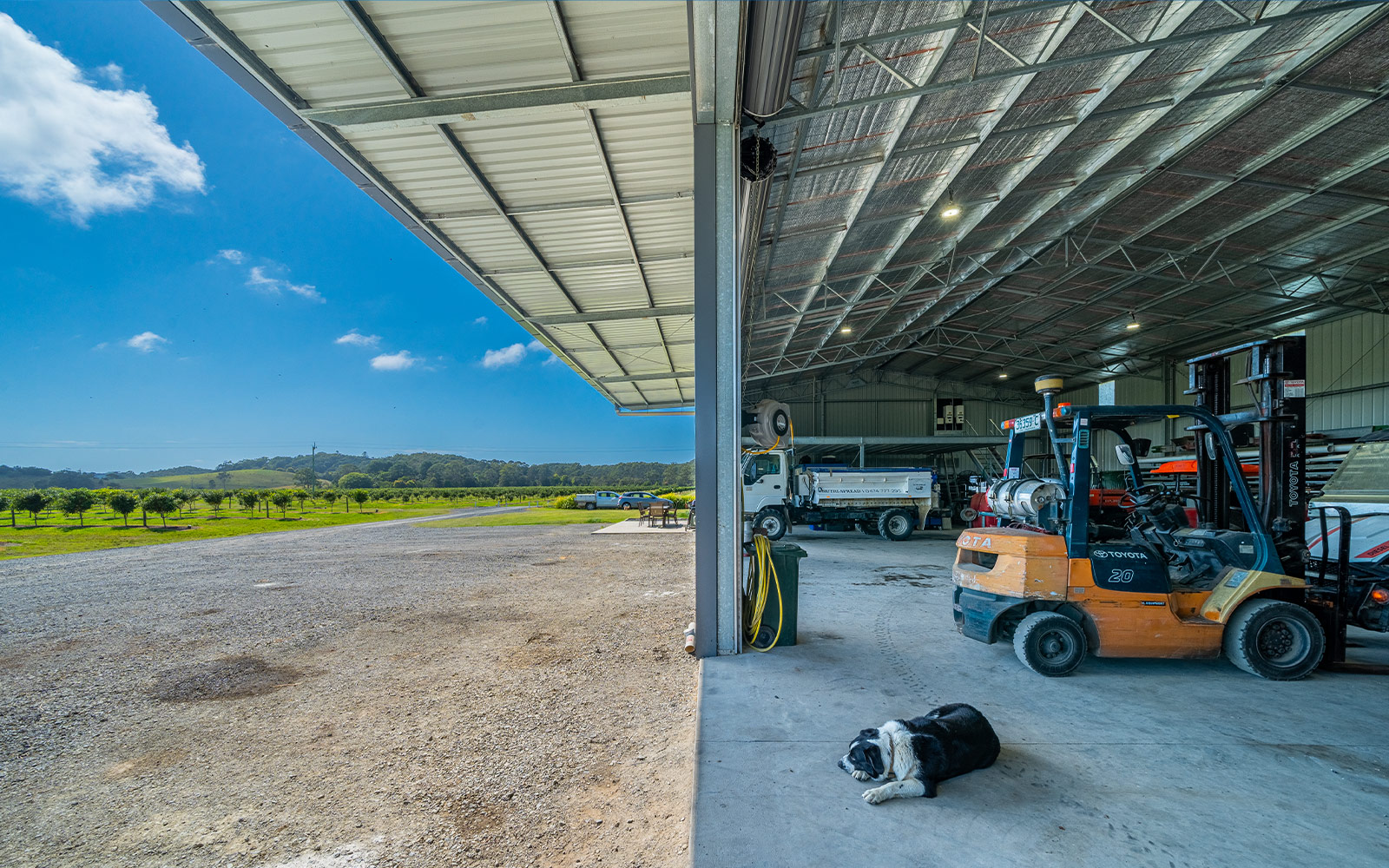 Tony Flick machinery shed