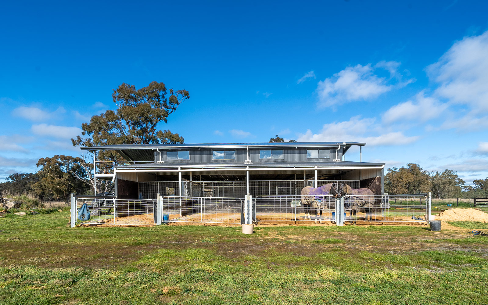 Christina Griffiths custom shed house