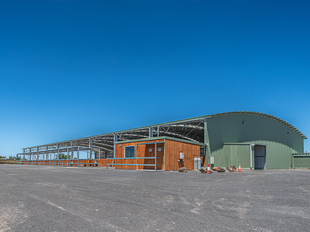 Abe Melinger western riding arena