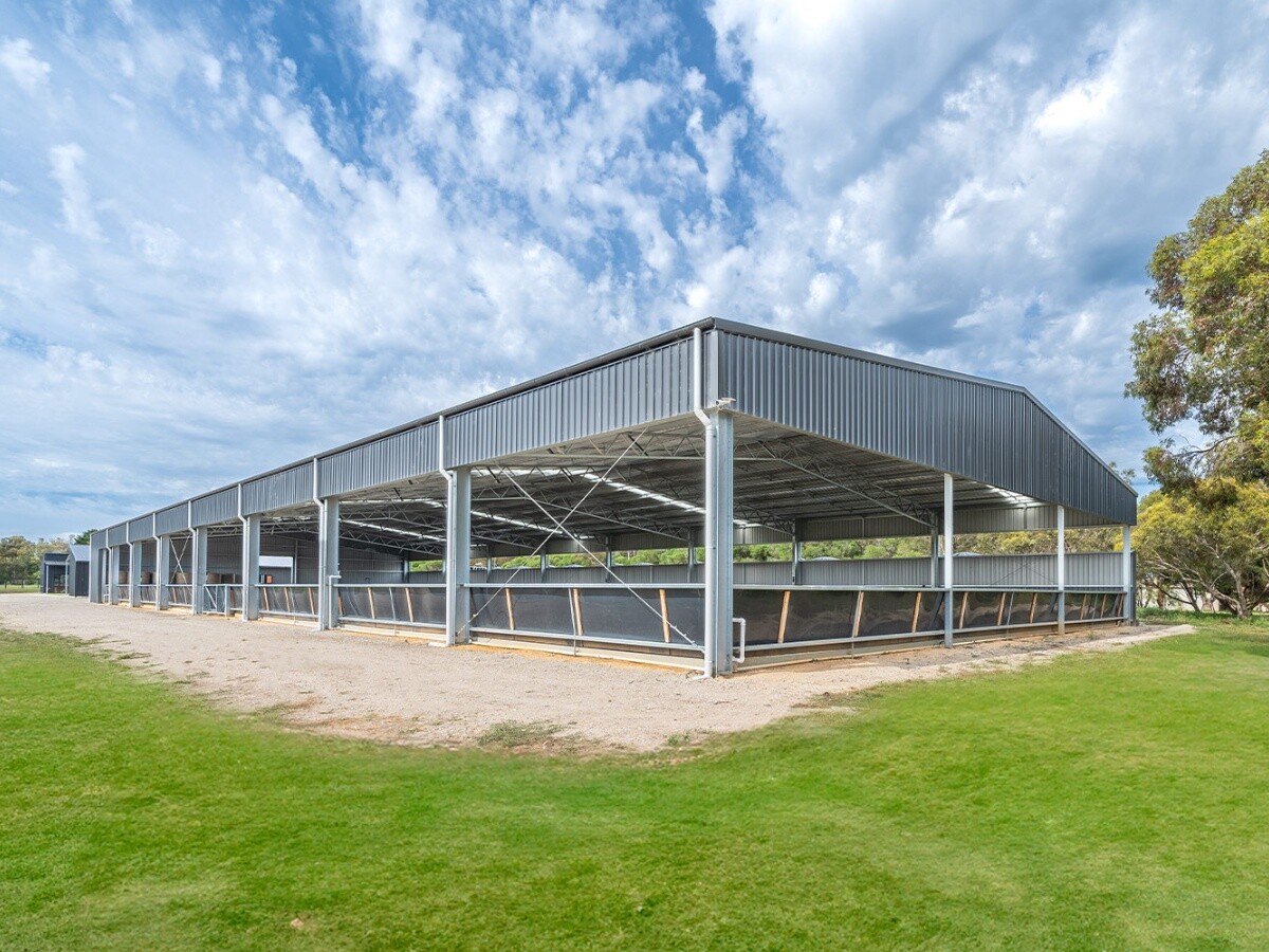 Amy Slayter indoor dressage arena