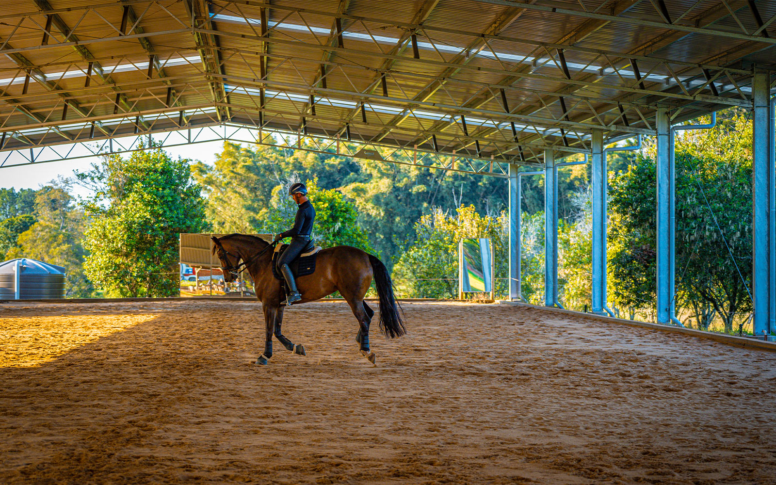 Dawn McKenzie indoor dressage arena