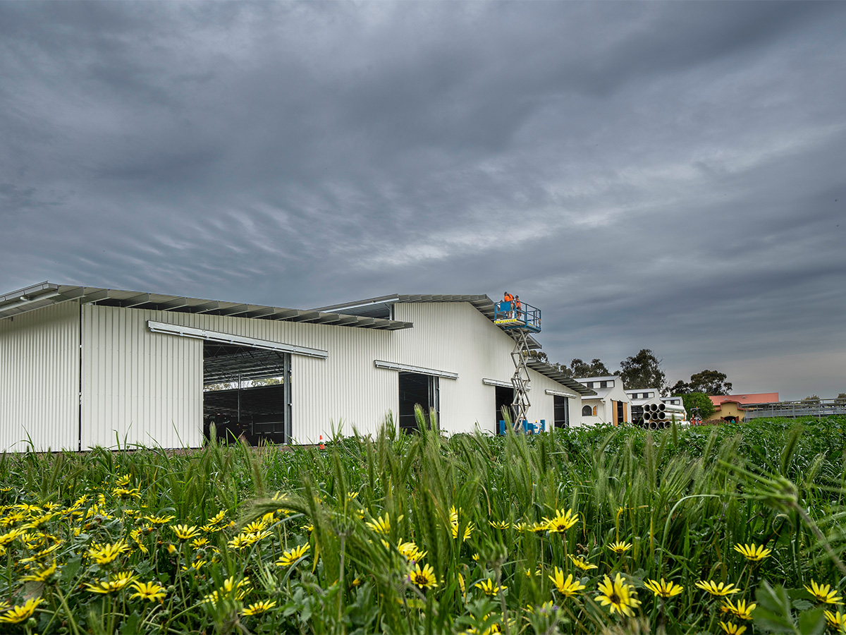 RG Sheds and Stables