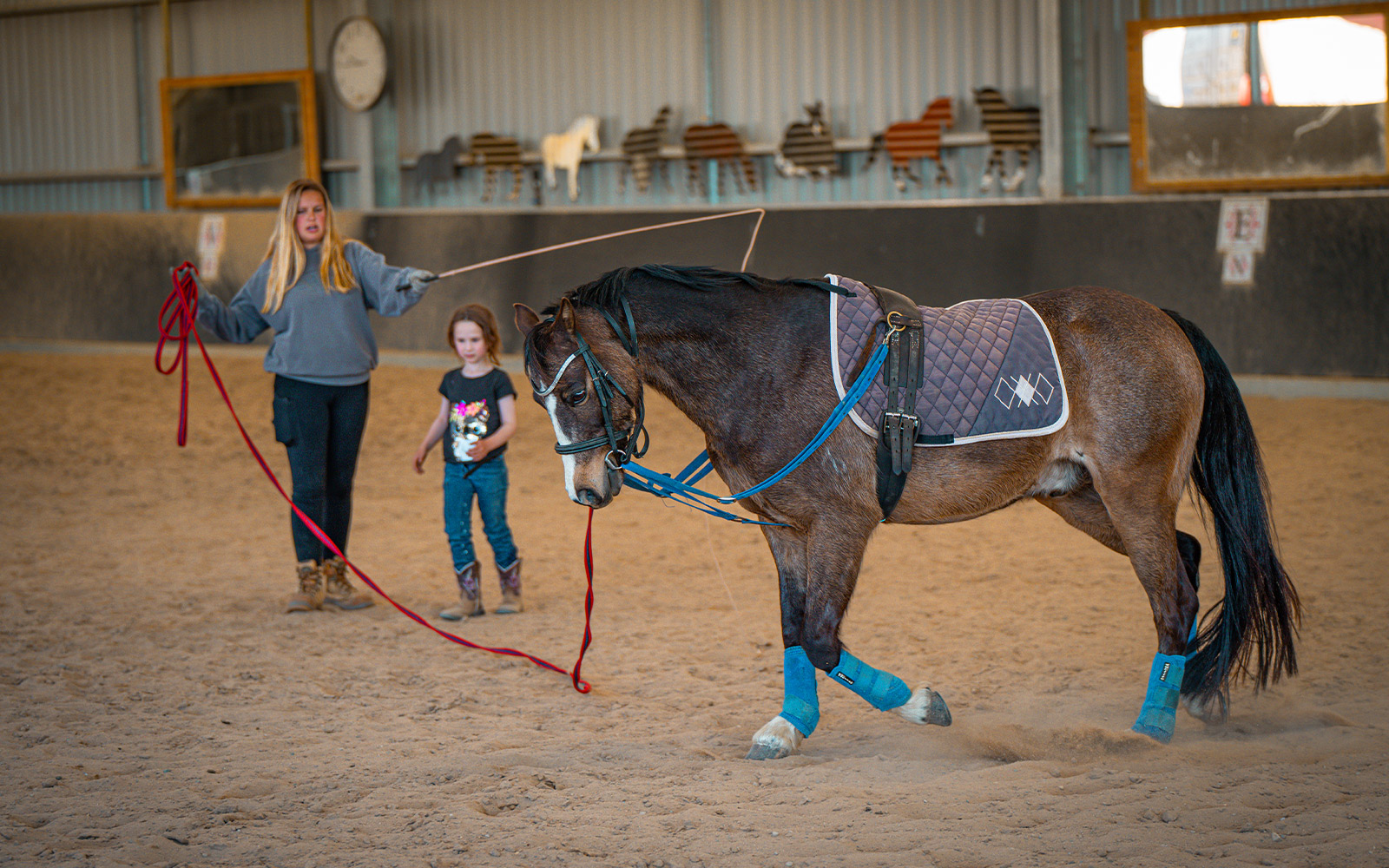 Indoor horse arena