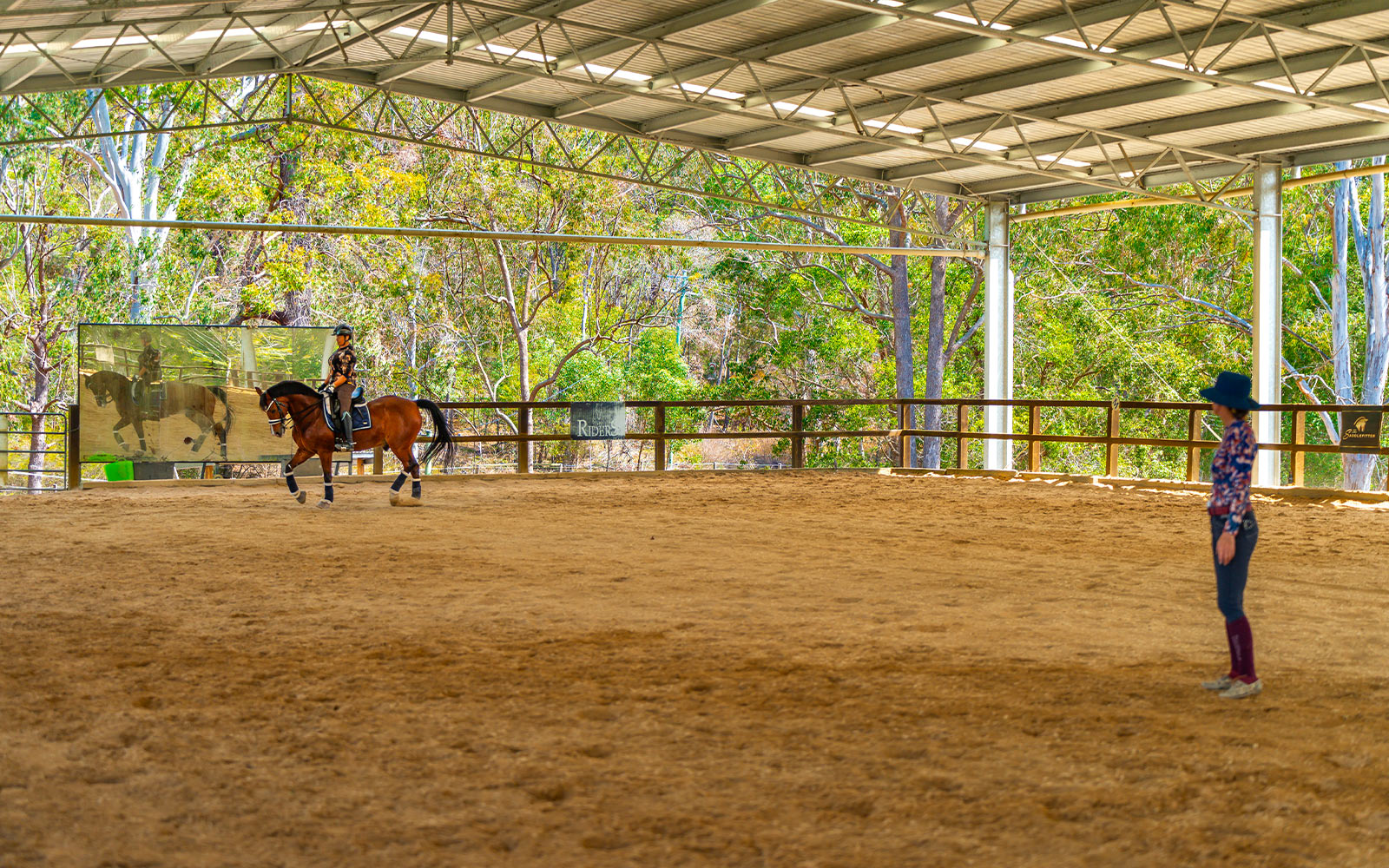 Nicole Tough indoor dressage arena