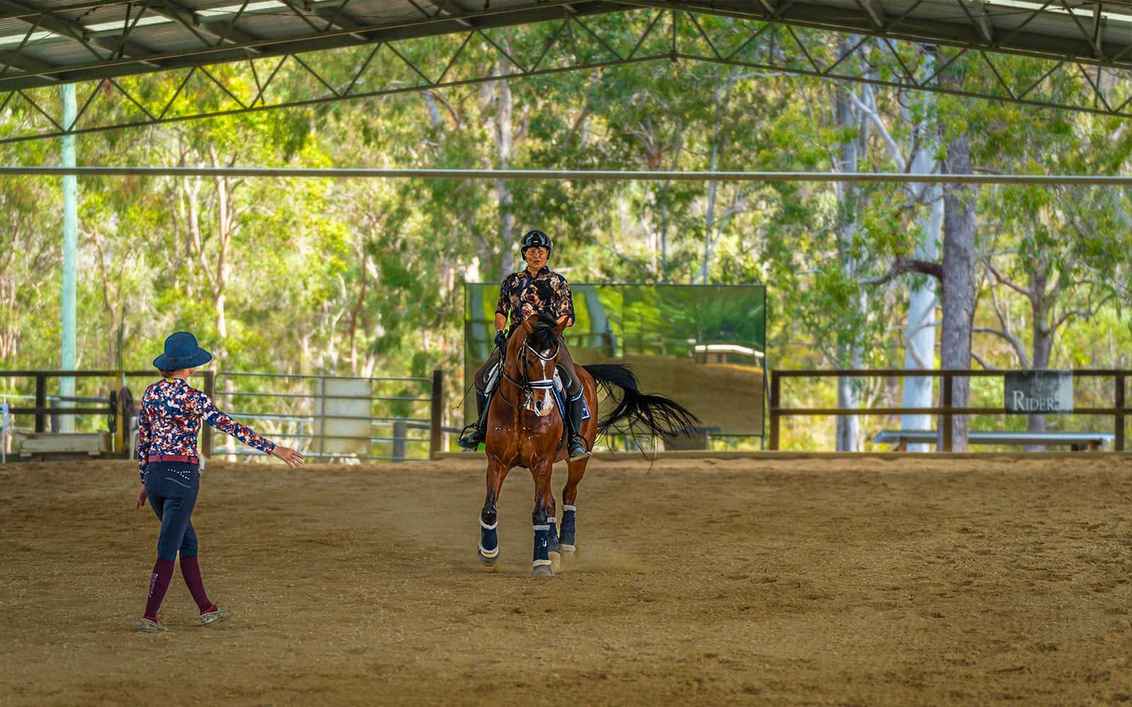 Nicole Tough horse shed