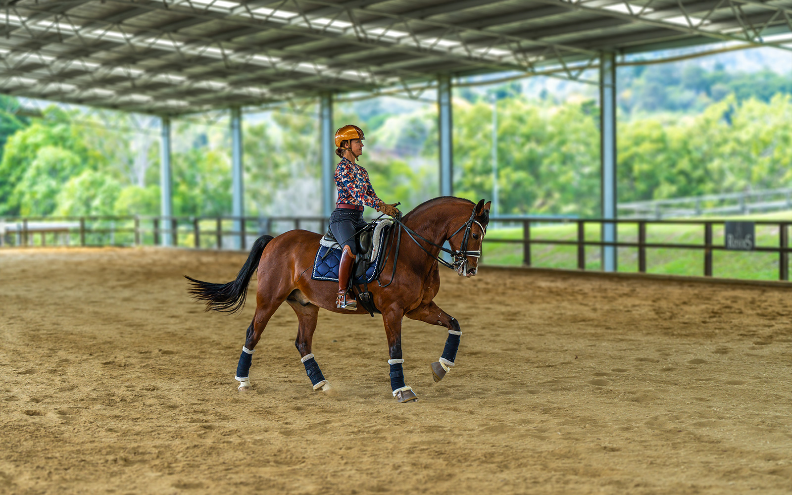 Nicole Tough indoor horse arena