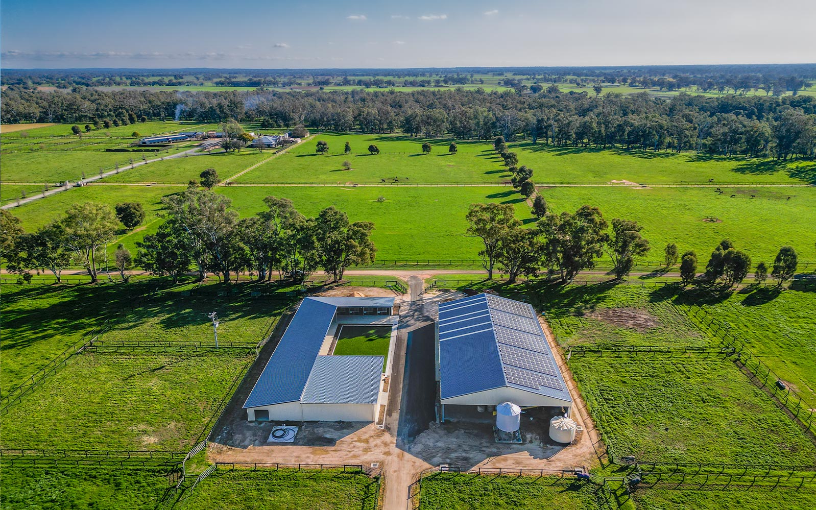 Peter Carrick horse shed