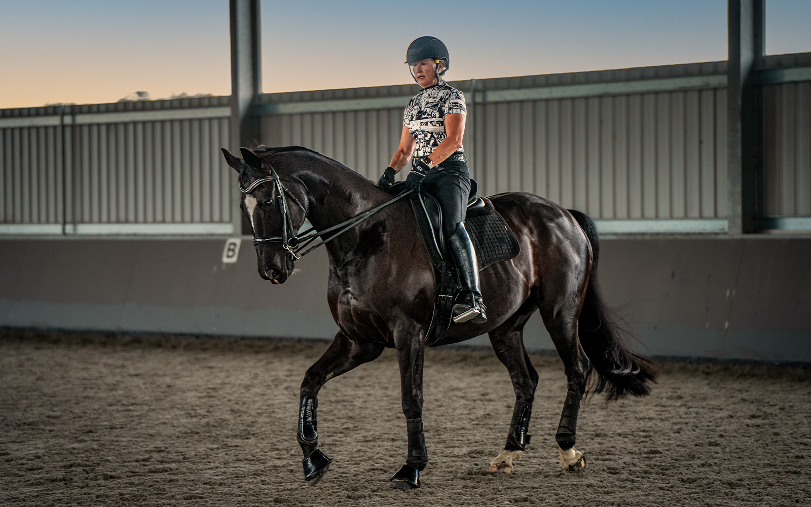 Peter and Pamela Bice horse arena shed