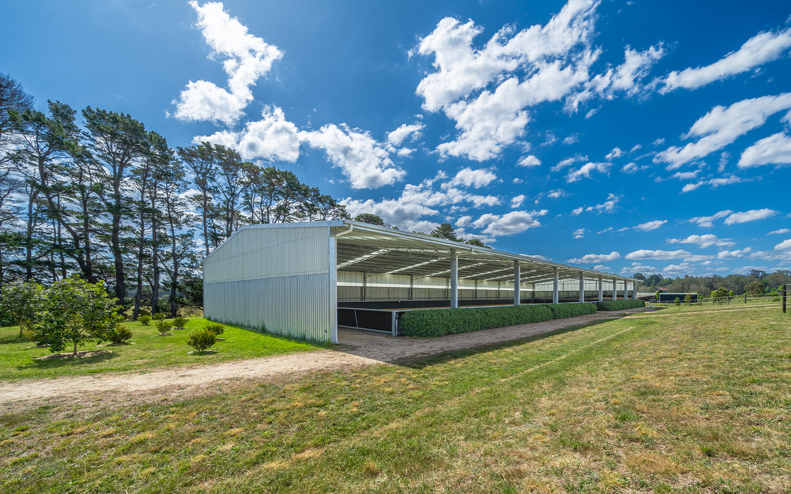 Tig Lungerhausen indoor dressage arena