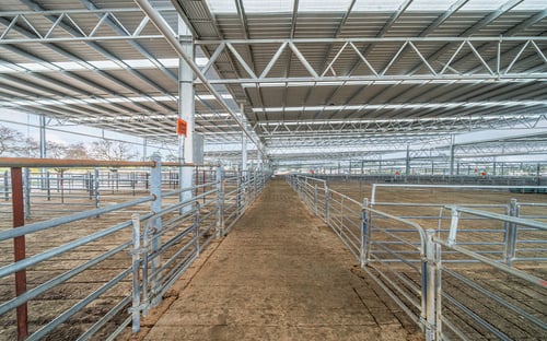 Corowa Saleyards 13_tile