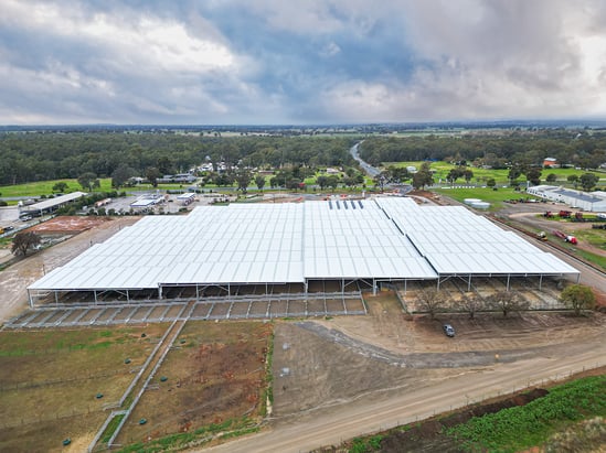 Corowa Saleyards 1_gallery