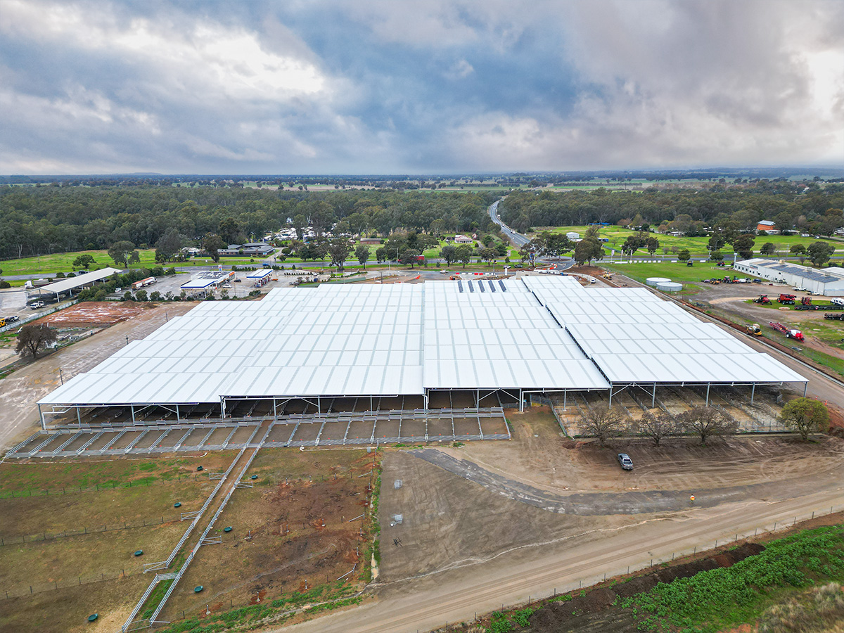 Corowa Saleyards