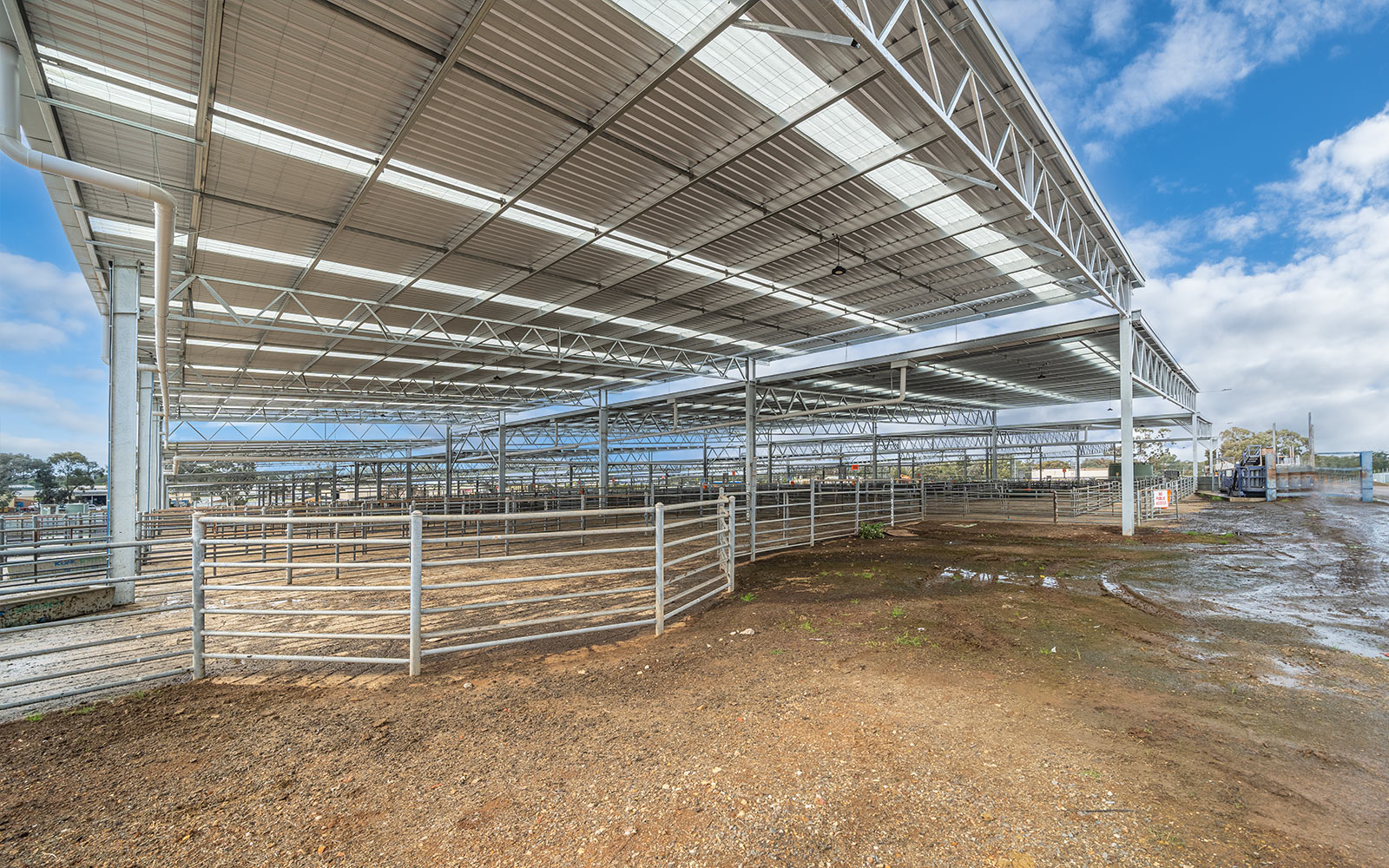 Corowa Saleyards cover