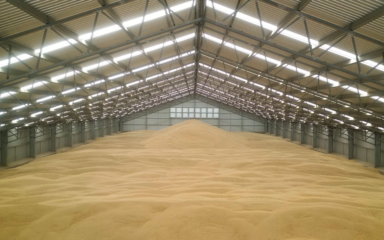 Riordan Grain bulk storage shed 