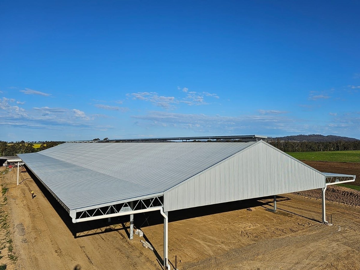 22024 Currajugle Holsteins Simone Jolliffe – dairy barn