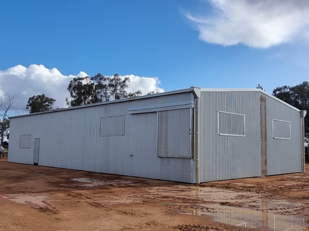 Shearing shed