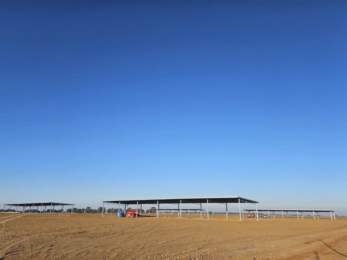 Aurora Dairies – dairy barn buildings 