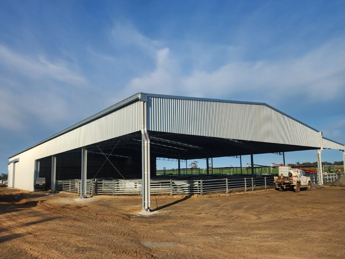 Shearing shed and yard cover