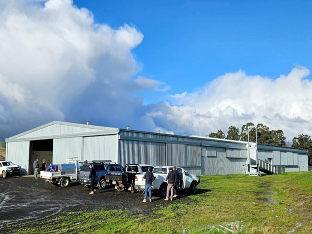 Shearing shed and yard cover