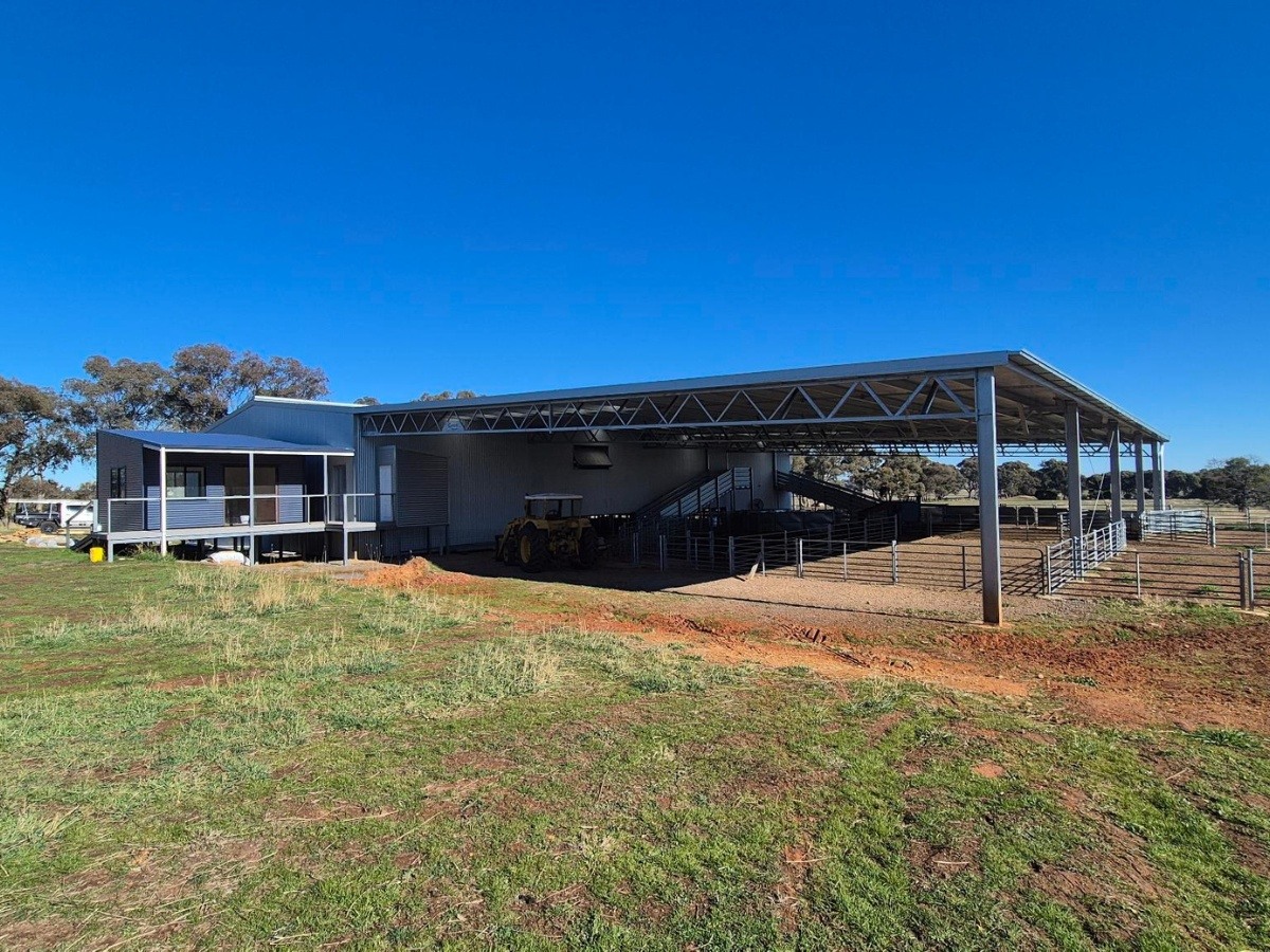 Shearing shed