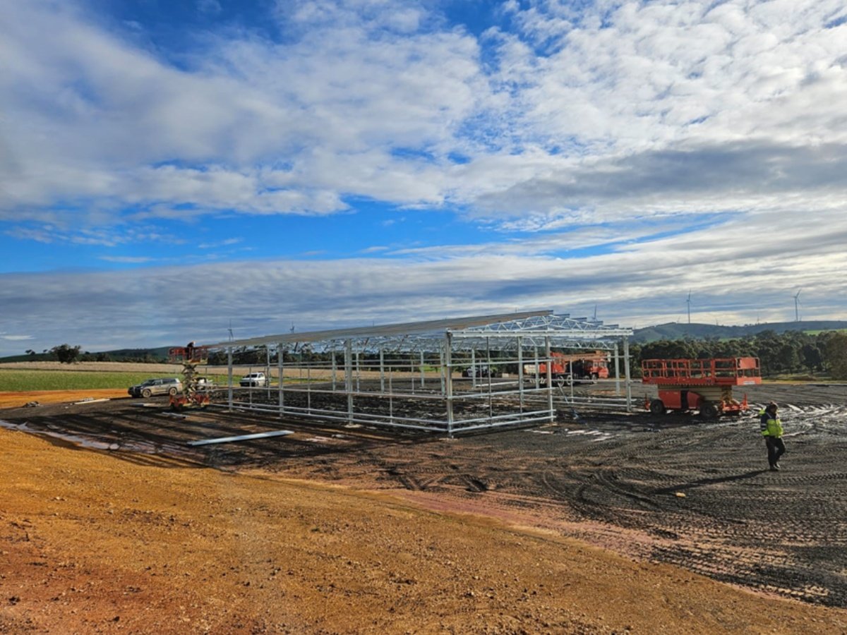 Ollie Warner shearing shed