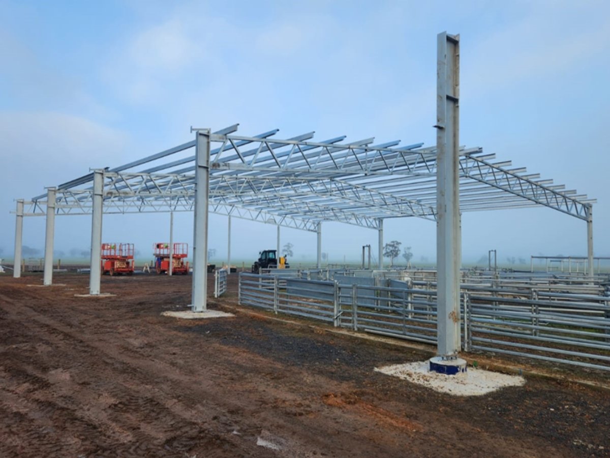 23668 Tom Bourchier shearing shed and yard cover