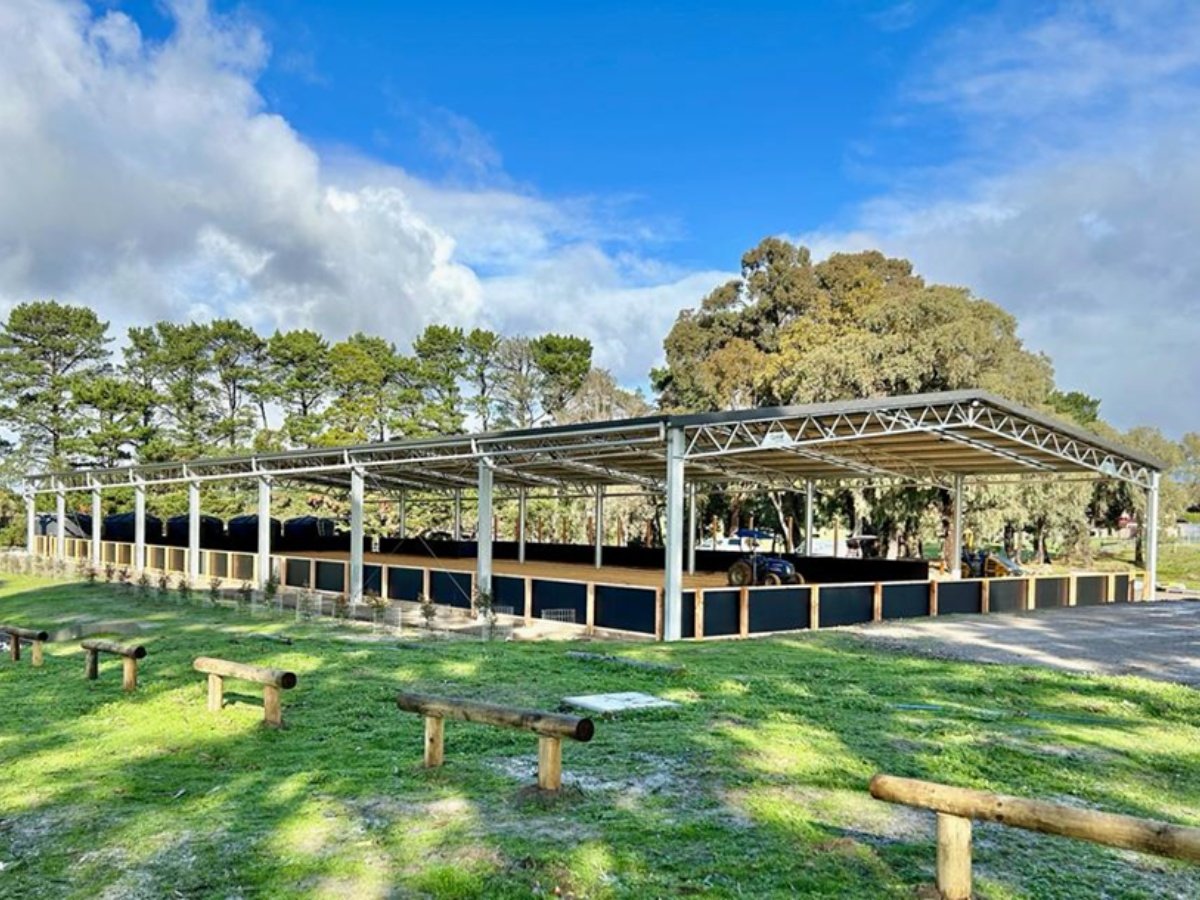 Ling Chua indoor dressage arena