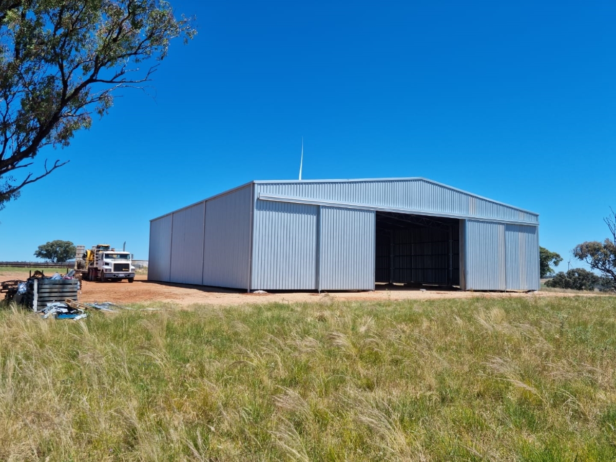 Angus Gregory shearing shed