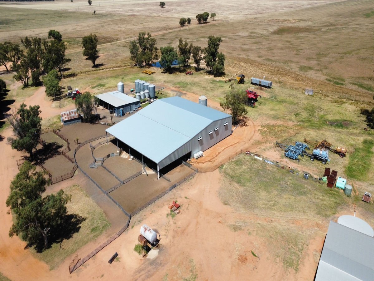 Ben shanks shearing shed