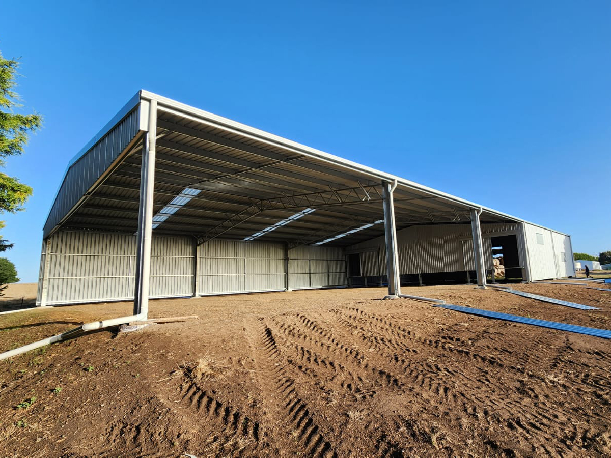 Fiona Blood shearing shed