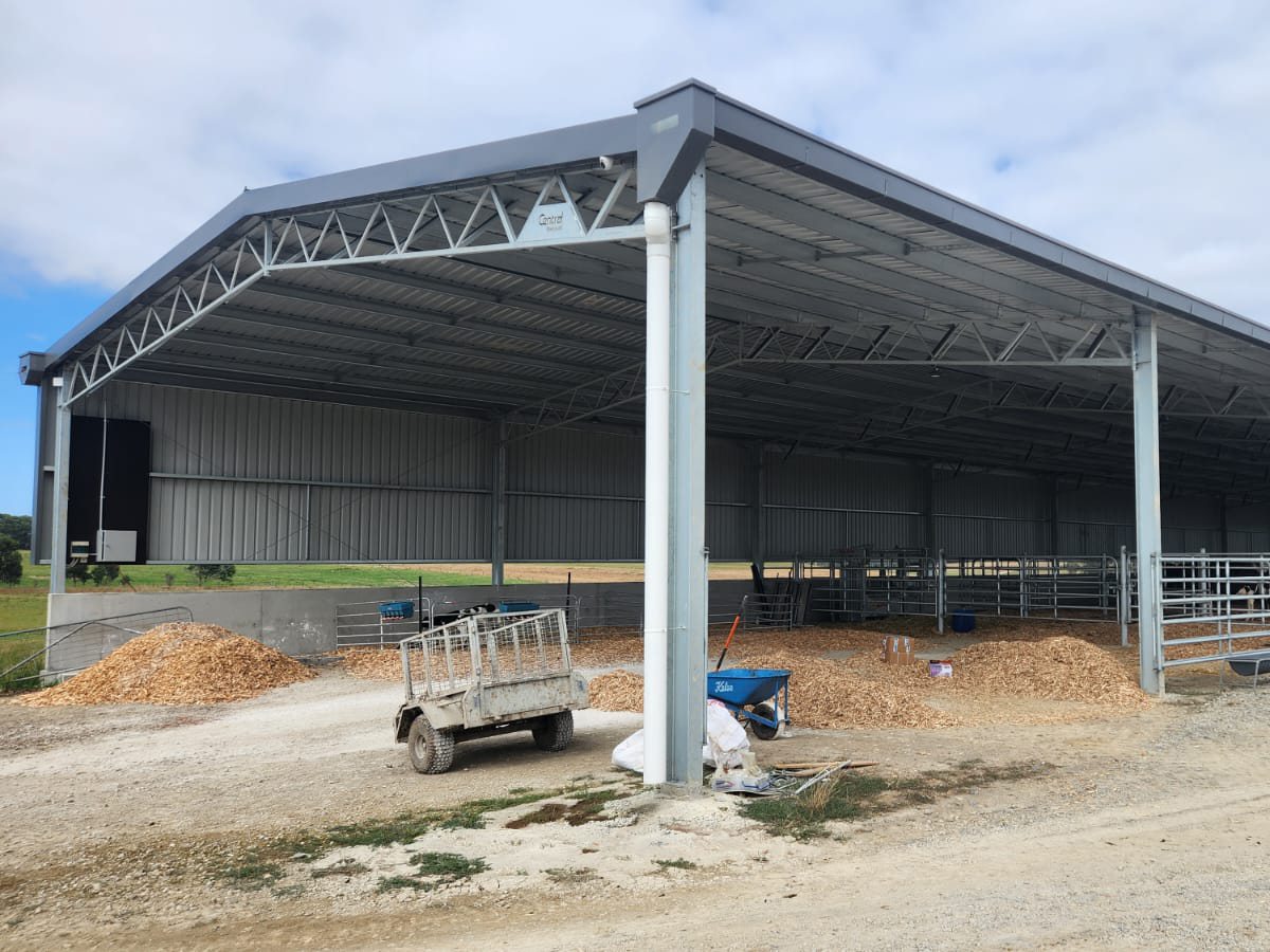 Neil Lane calving shed