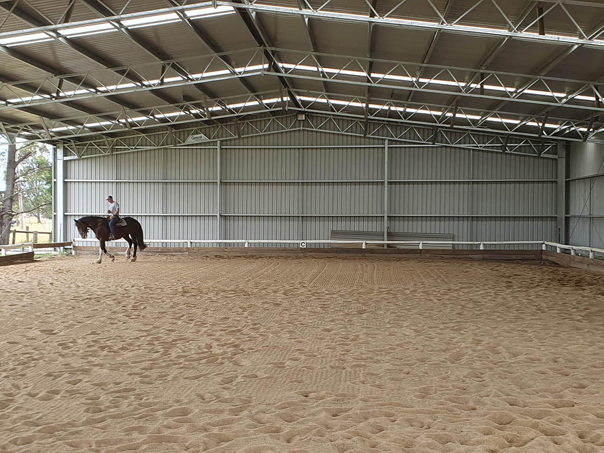 Damien Hurst indoor dressage arena