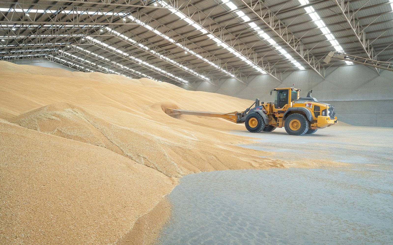 Close-up of Central Steel Build’s hot-dip galvanised structural steelwork, showcasing corrosion-resistant framing used in the Porthaul grain storage facility.