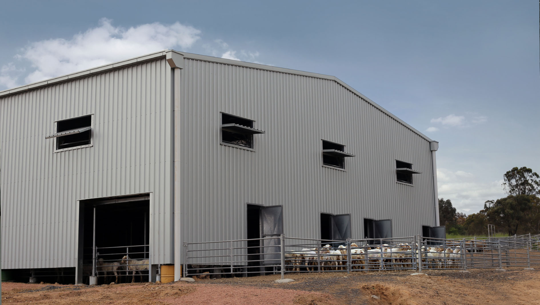 Coliban Estate farm shearing shed