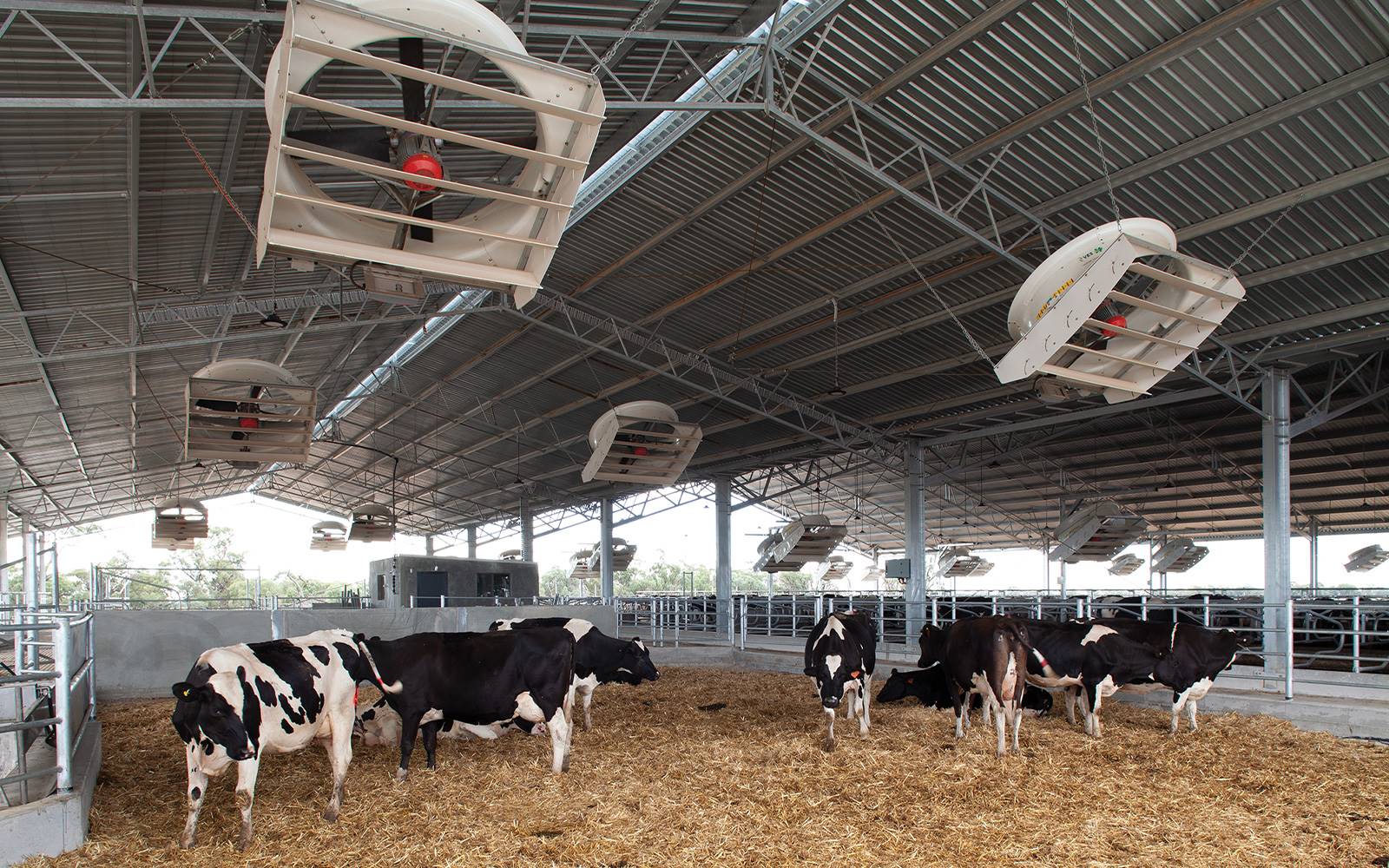 Dairy building