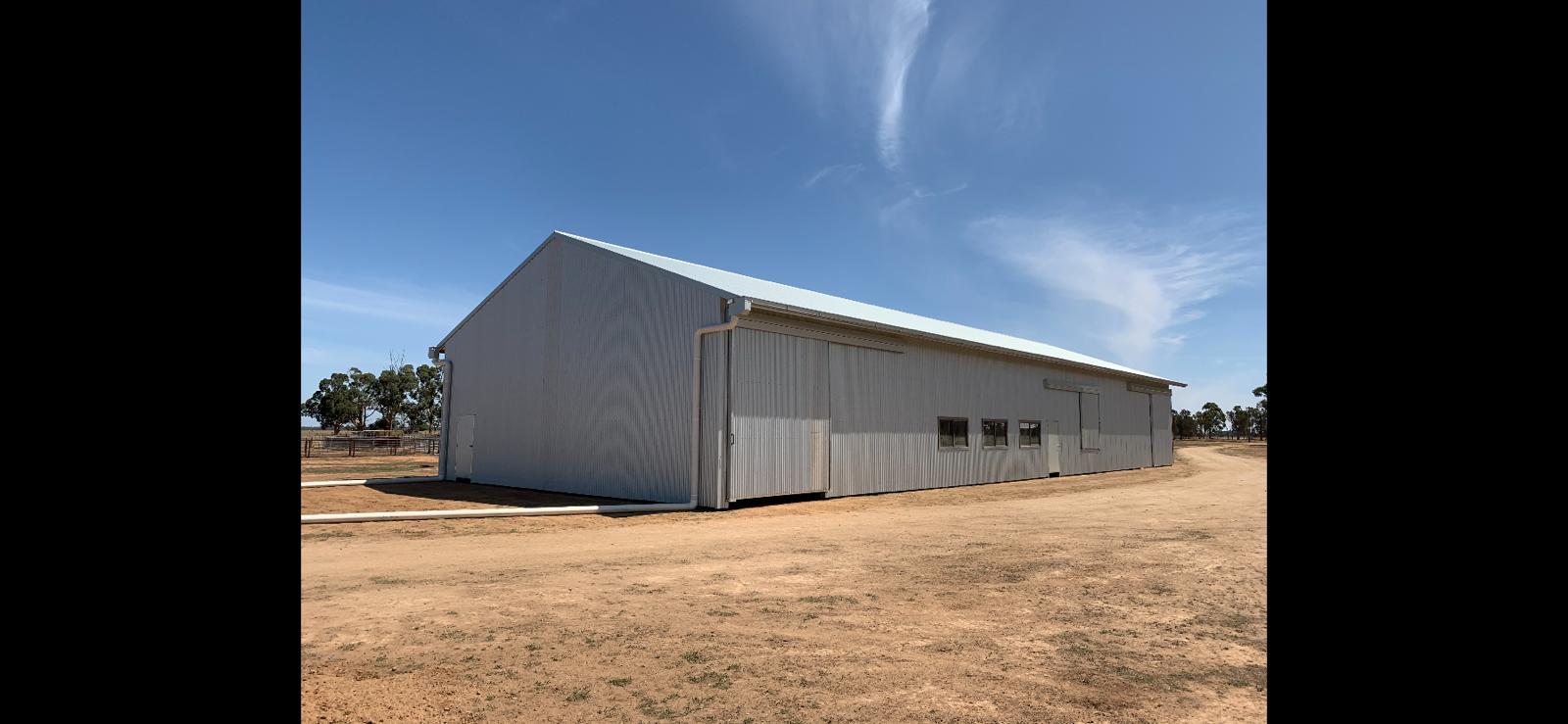 Cam Bradford shearing shed