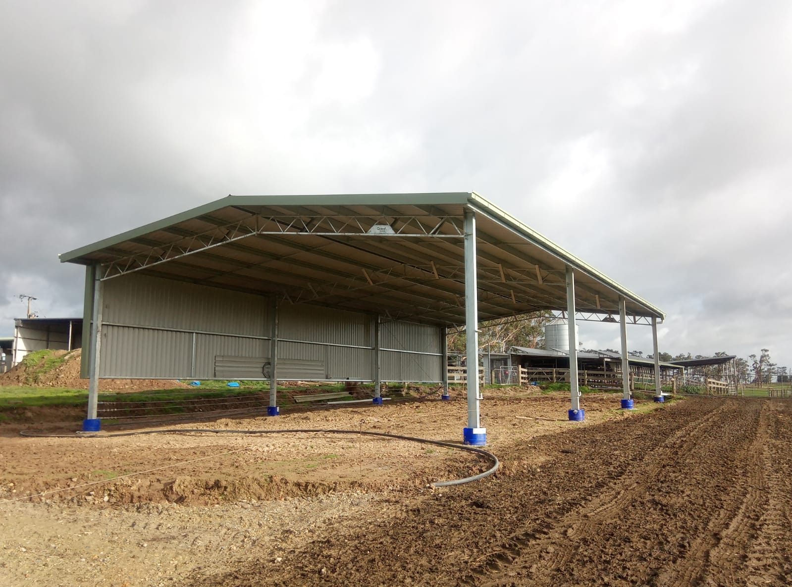 Ian Ross feedlot