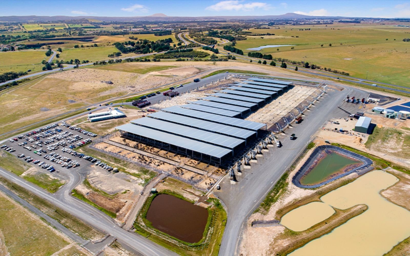 Ballarat saleyards