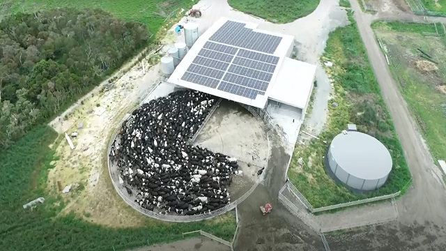 Inverloch rotary dairy