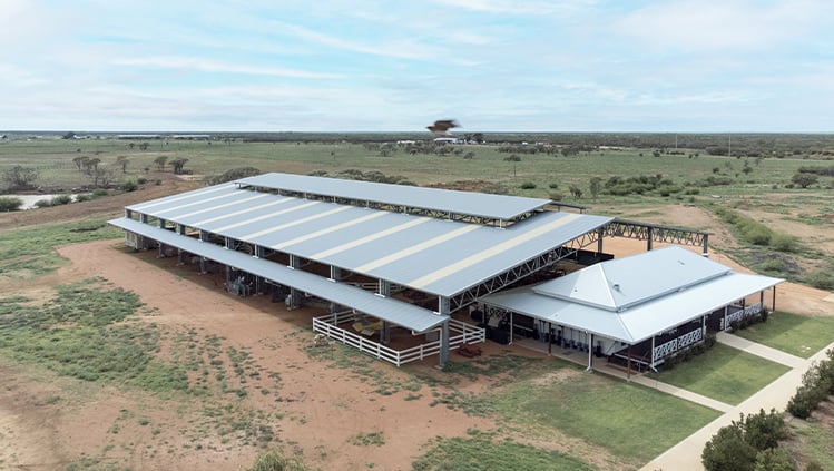 Australian Stockmans Hall of Fame rodeo cover