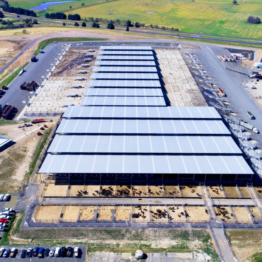 Ballarat saleyards cover