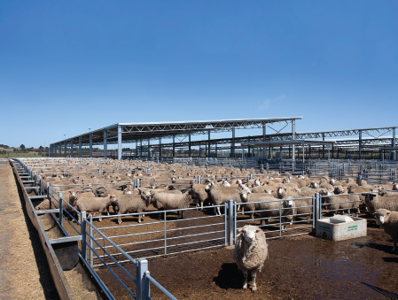 Ballarat saleyards yard cover