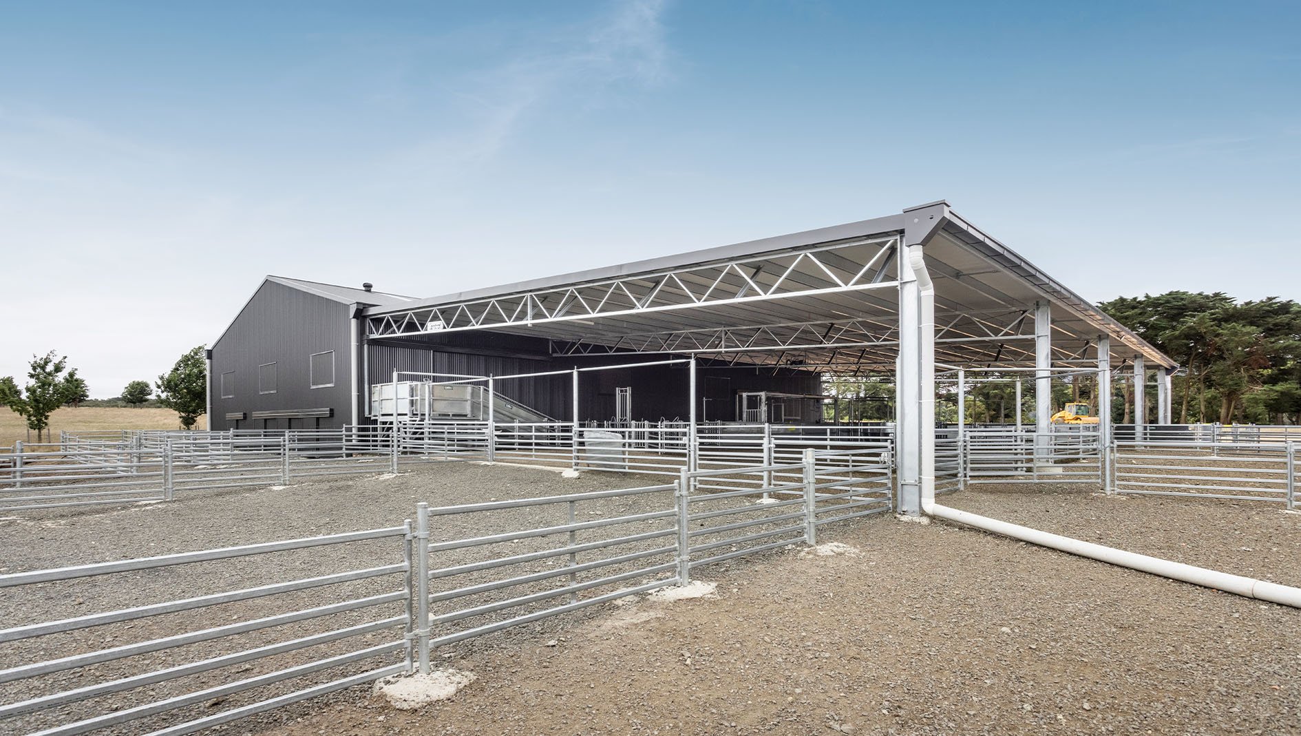 Bolobek shed shearing shed