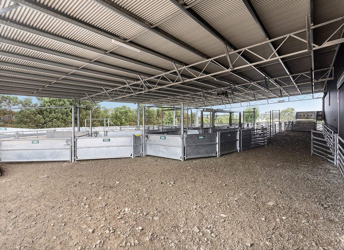 Bolobek sheep shearing shed farm