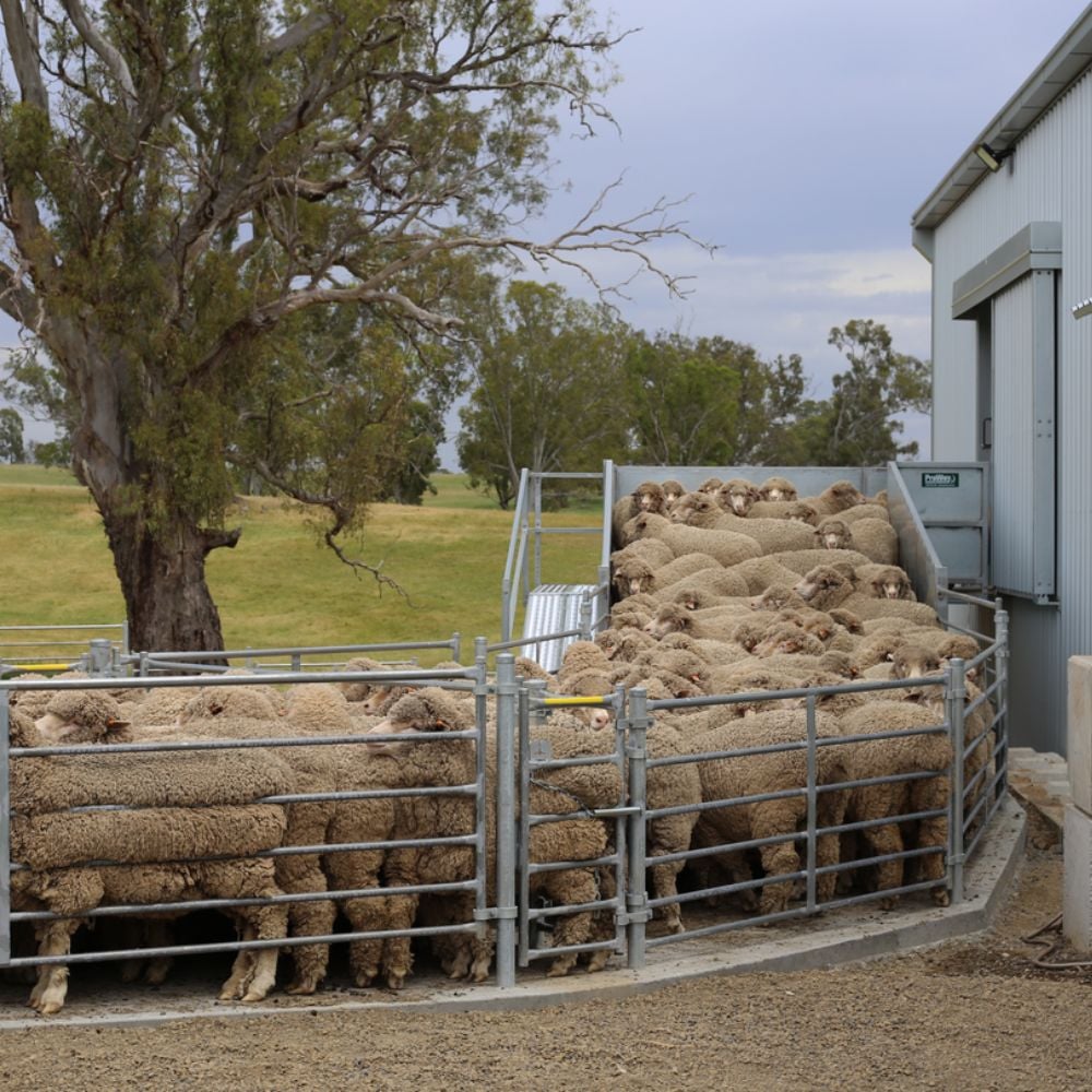 Coliban estate agricultural farm shed 