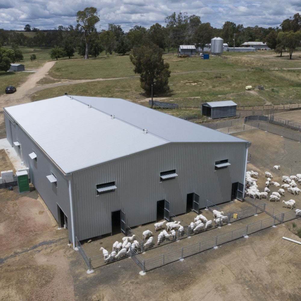 Coliban estate shearing farm shed