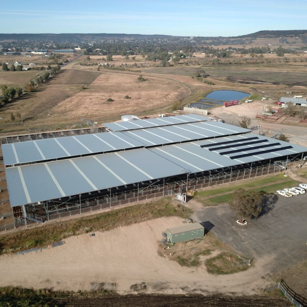 Inverell saleyards cover