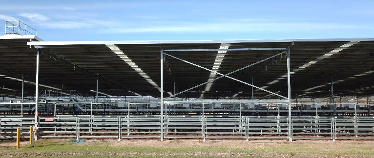 Inverell Saleyard cover Inverell Saleyard cover
