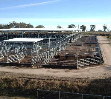 Inverell Saleyards