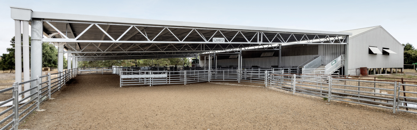 Sidonia sheep yard cover